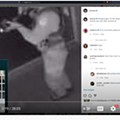 Capture Tim ar15.PNG